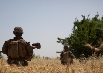 Reconnaissance patrol in Sangin