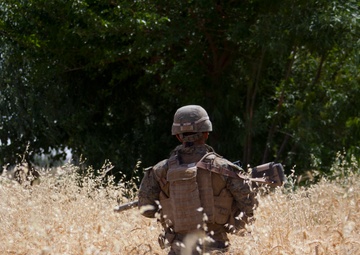 Reconnaissance patrol in Sangin