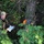 A male individual wearing military camouflage uniform and a boonie hat is standing in a wooded area holding a map and a radio device. He is positioned near a tree that has an orange marker flag and a dark placard attached to it, suggesting a land navigation or orienteering exercise. The setting appears to be a training environment in a dense forest.