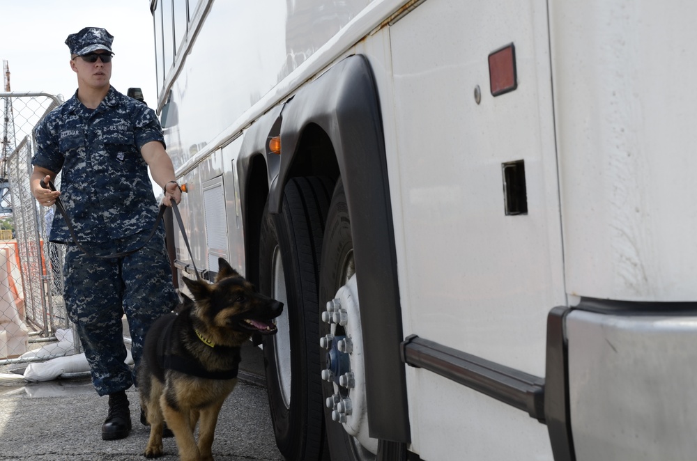 Navy K-9 Bleck conducts a security sweep