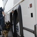 Navy K-9 Bleck conducts a security sweep