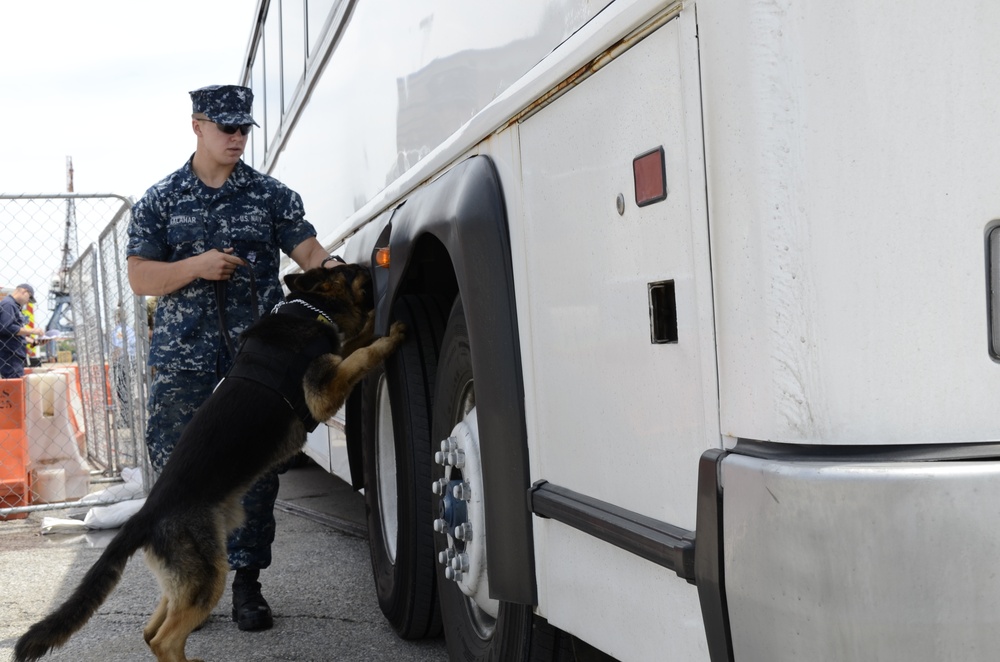 Navy K-9 Bleck conducts bus security sweep