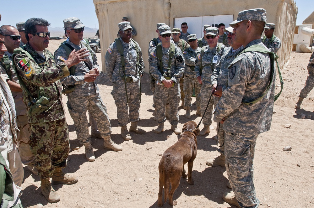 Furry force multipliers a big hit at NTC