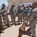 Furry force multipliers a big hit at NTC