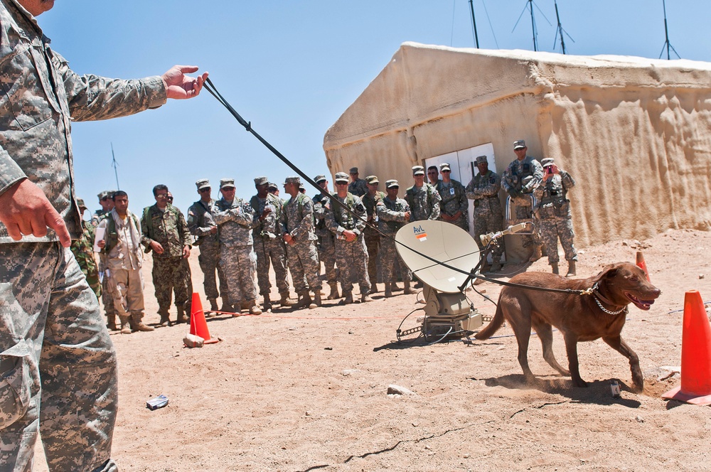 Furry force multipliers a big hit at NTC