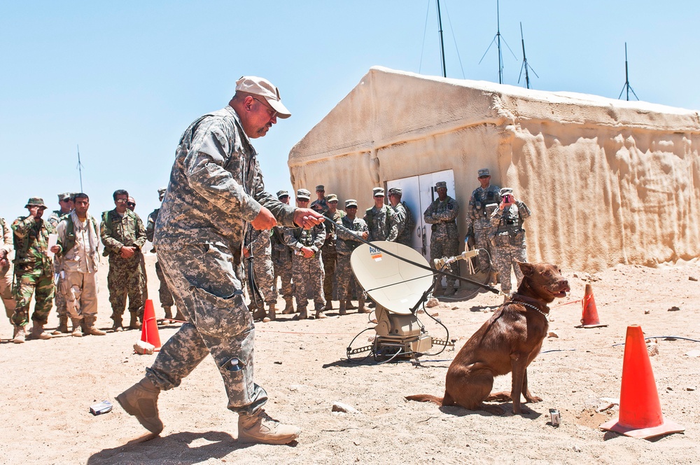 Furry force multipliers a big hit at NTC