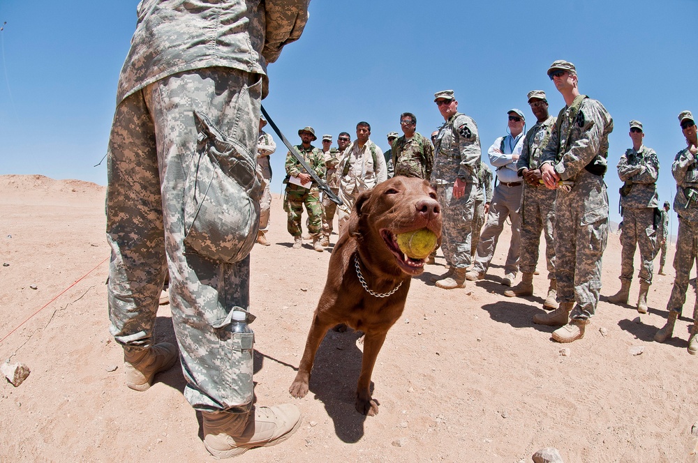 Furry force multipliers a big hit at NTC