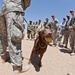 Furry force multipliers a big hit at NTC