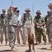 Furry force multipliers a big hit at NTC