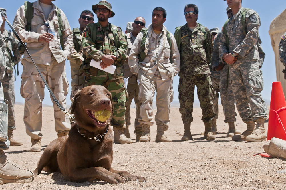 Furry force multipliers a big hit at NTC