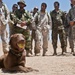 Furry force multipliers a big hit at NTC