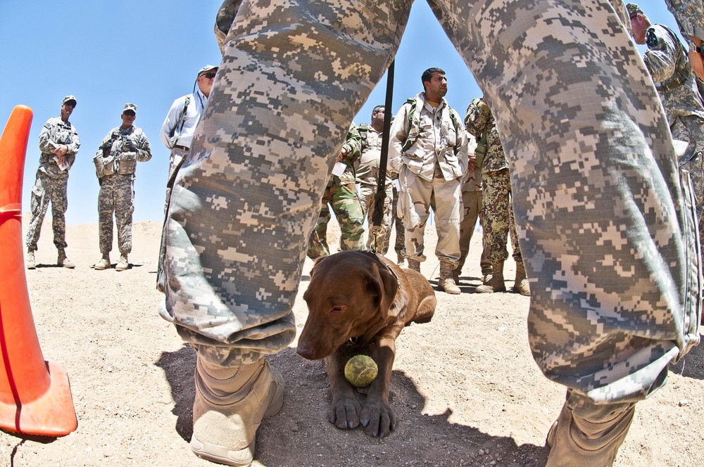 Furry force multipliers a big hit at NTC