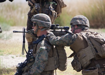 Reconnaissance patrol in Sangin