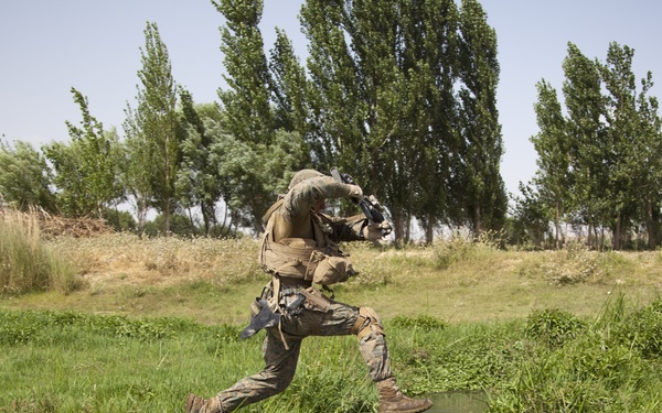 Reconnaissance patrol in Sangin