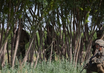 Reconnaissance patrol in Sangin