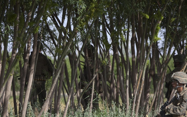 Reconnaissance patrol in Sangin