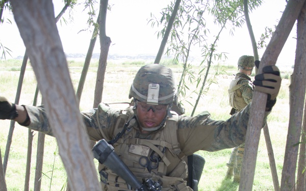 Reconnaissance patrol in Sangin