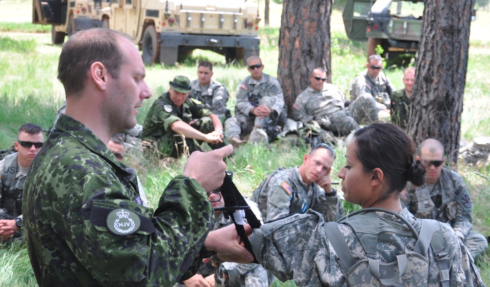 US and Denmark soldiers train together at Golden Coyote