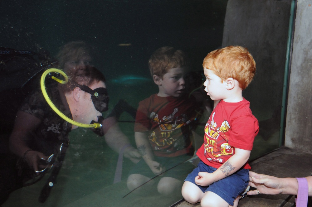 Navy divers entertain at Baltimore National Aquarium