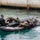 Members of the Barbados Defence Force perform vessel debarkation drills during Exercise Tradewinds 2012 Members of the Barbados Defence Force perform vessel debarkation drills during Exercise Tradewinds 2012