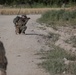 1/7 patrols in Sangin