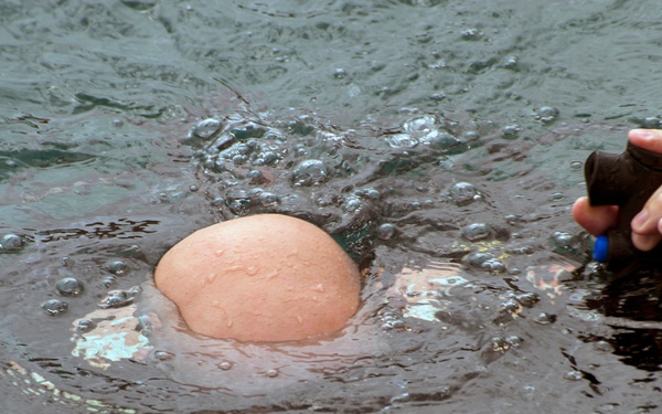 Canadian Navy Leading Seaman Dave Cheeseman starts his descent during dive training during Exercise Tradewinds 2012