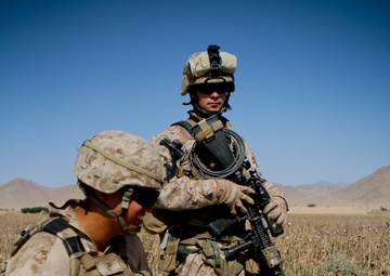 Explosive tandem demolishes bunkers, supports Operation Jaws