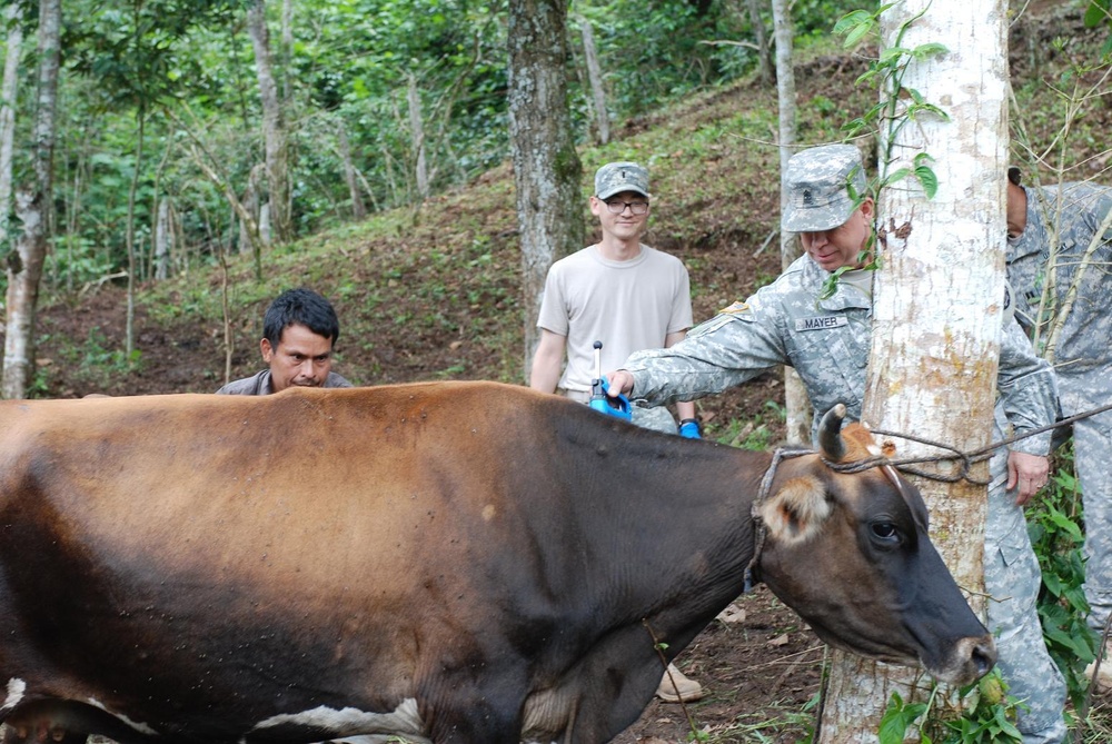 Task force sergeant major eyes successful completion of BTH 2012 exercise in Honduras