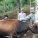 Task force sergeant major eyes successful completion of BTH 2012 exercise in Honduras