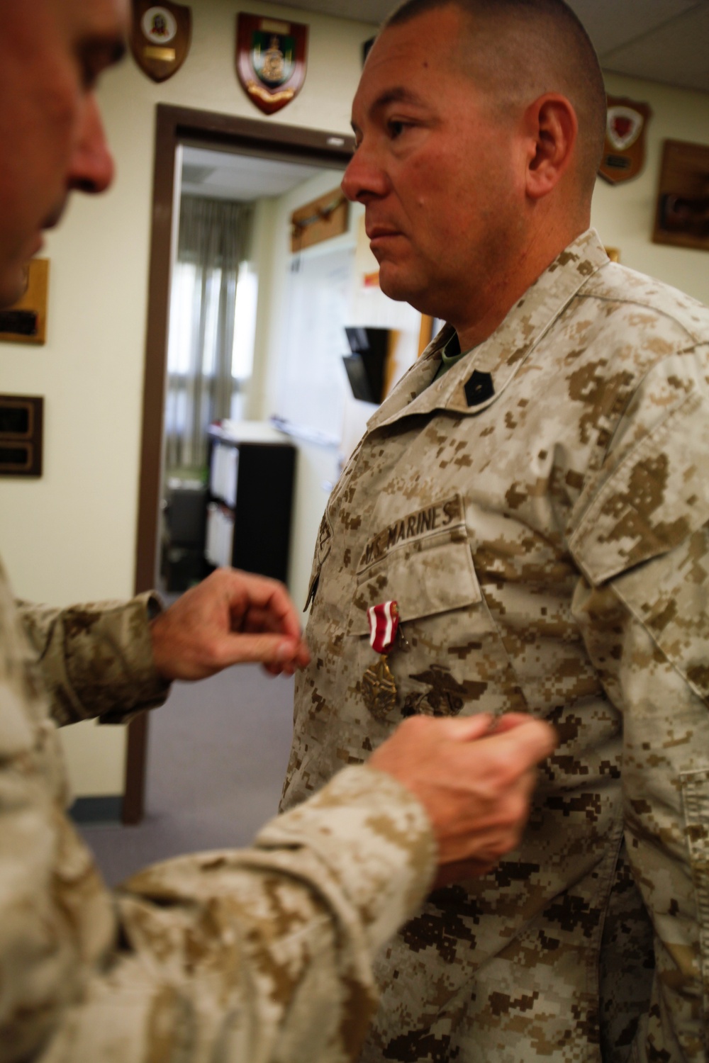 Marine trained units for deployment, awarded medal