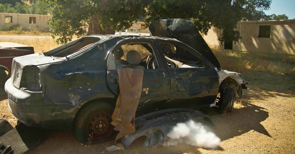 Warrior Exercise 91 12-01 / Global Medic 2012