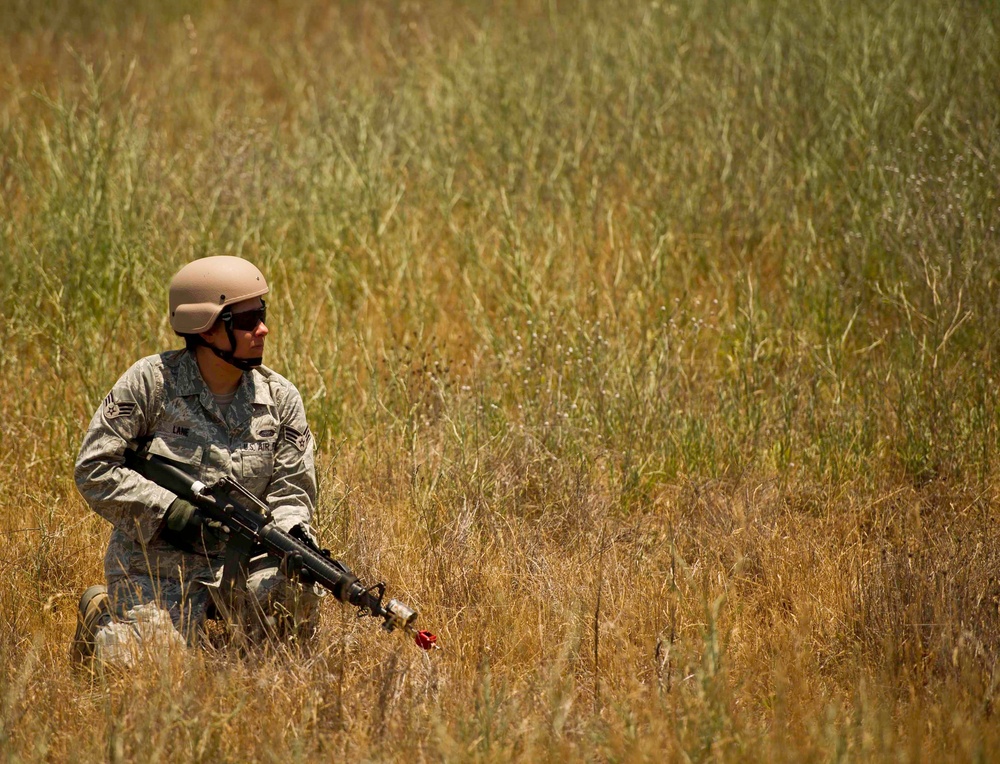 Warrior Exercise 91 12-01 / Global Medic 2012