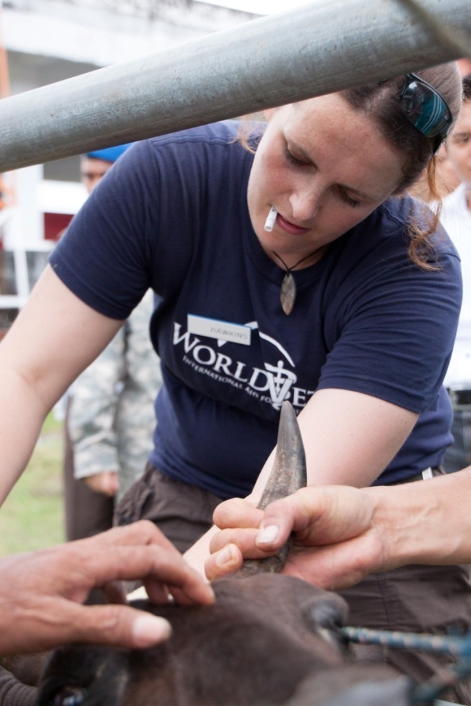 Veterinary civil action project