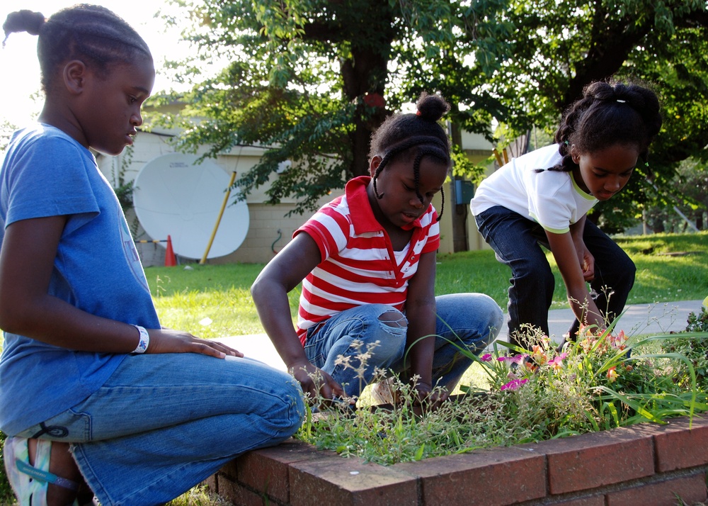 Replanting flower beds
