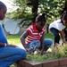 Replanting flower beds
