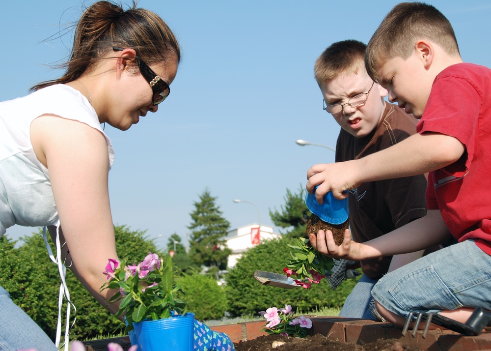 Planting flowers