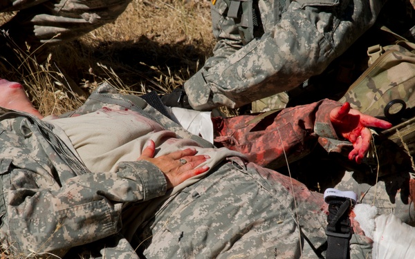 Exercise GLOBAL MEDIC 2012