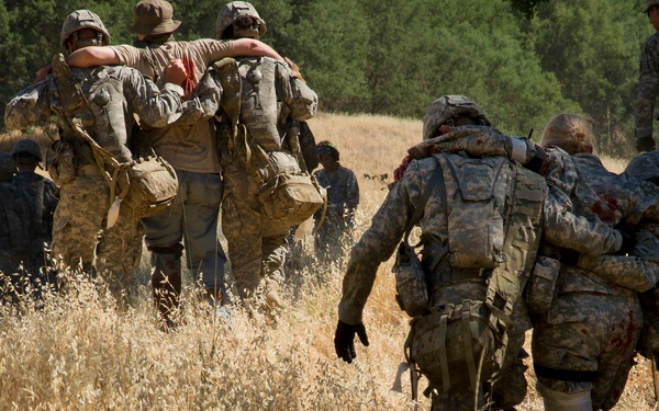 Exercise GLOBAL MEDIC 2012