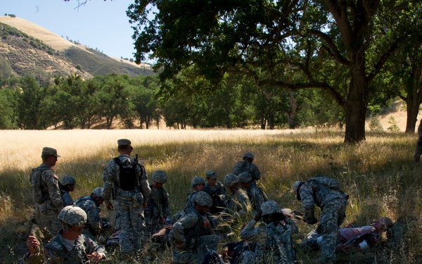 Exercise GLOBAL MEDIC 2012