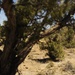 Utah Army National Guard 2nd Battalion, 211th General Support Aviation annual field training exercise