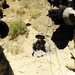 Utah Army National Guard 2nd Battalion, 211th General Support Aviation annual field training exercise