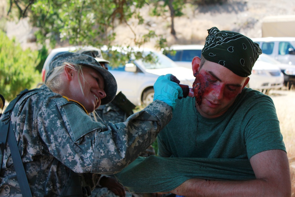 Combat Lifesaver Training for Warrior Exercise 91-12-01