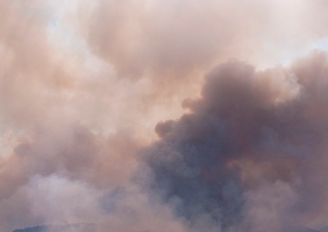 High Park fires