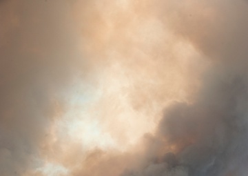 High Park fires