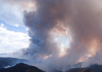 High Park fires