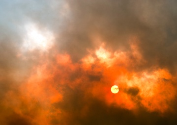 High Park fires