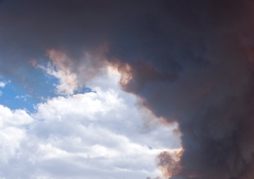 High Park fires