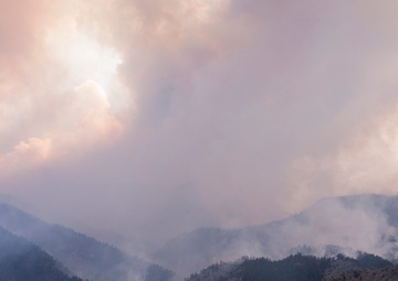 High Park fires