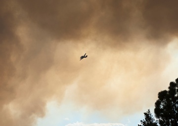 High Park fires