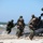 BALTOPS 12 Amphibious Landing BALTOPS 12 Amphibious Landing
